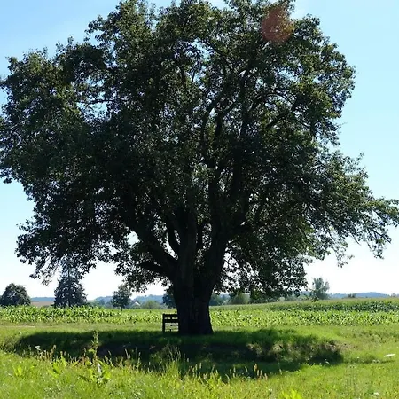 Trostelhof 2 Salem (Baden-Wurttemberg)